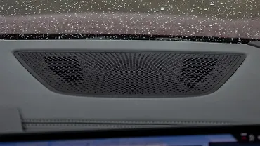 BMW X6 Front Speakers BMW X6 Front Speakers