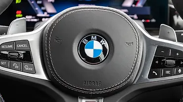 BMW X6 Horn Boss BMW X6 Horn Boss