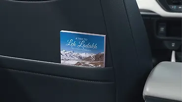 होंडा एलिवेट आगे की सीट के पीछे के पॉकेट्स