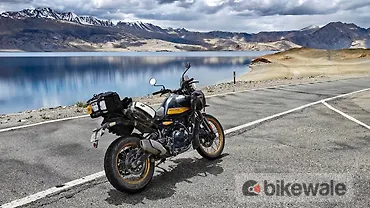 Viaterra LFA XC Rackless Saddlebags Review 