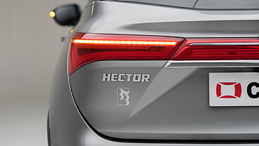 MG Hector [2019-2021] Rear Signal/Blinker Light