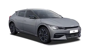 Wolf Grey