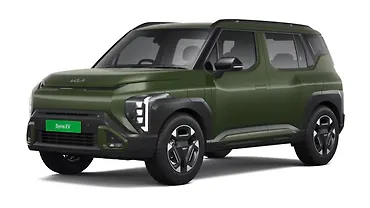 Pewter Olive