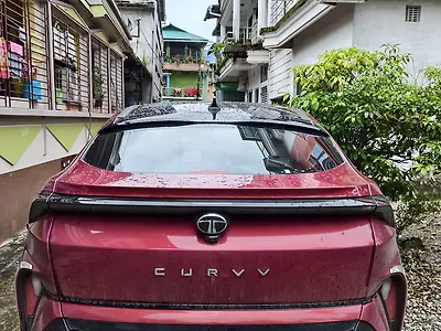 Second Hand Tata Curvv ICE Creative Petrol 1.2L Turbo Automatic in Jalpaiguri