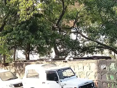 Second Hand मारुति सुज़ुकी जिप्सी किंग एसटी BS-IV in दिल्ली
