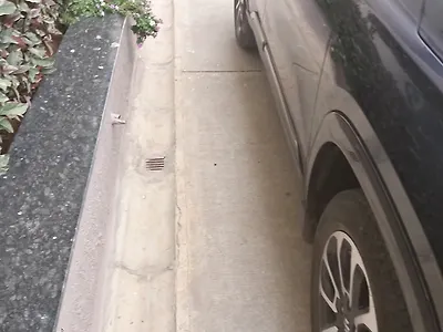 2023 Maruti Suzuki Grand Vitara Alpha Plus Intelligent Hybrid eCVT