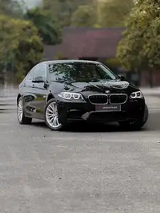 2014 BMW 5-Series 520d Luxury Line 1