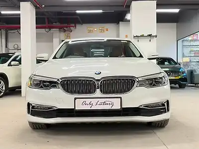 2019 BMW 5-Series 520d Luxury Line 1