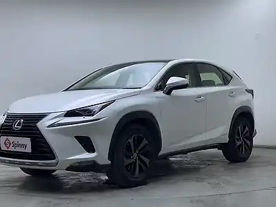 2020 लेक्सस एनएक्स 300h लग्ज़री 1
