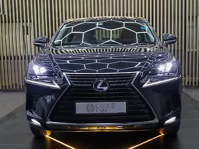 2019 Lexus NX 300h Luxury