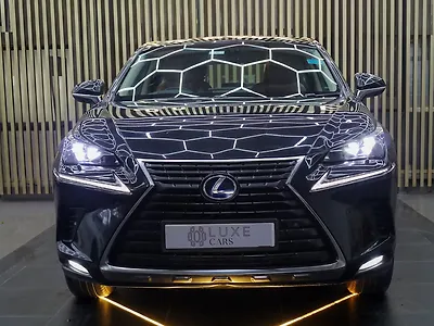 2019 Lexus NX 300h Luxury [2017-2020] 1