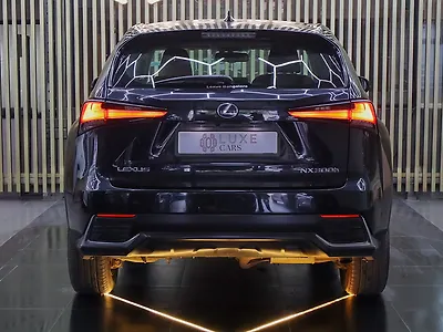 2019 Lexus NX 300h Luxury