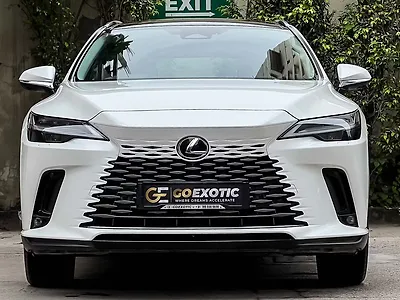 2025 Lexus RX 350h Luxury 1