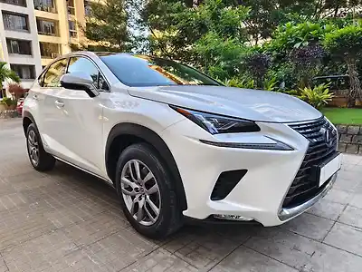 2020 लेक्सस एनएक्स 300h एक्सक्विज़िट 1