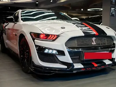 2019 Ford Mustang GT Fastback 5.0L v8 1 2019 Ford Mustang GT Fastback 5.0L v8 1