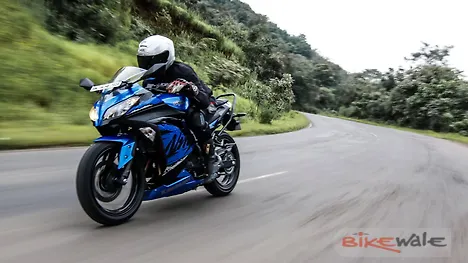 Kawasaki Ninja 300 [2018-2019] Action
