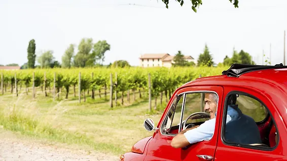 Top 25 New Cars For Senior Drivers Consumer Reports