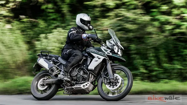 tiger 800 xcx price