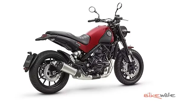 benelli leoncino 500 off road