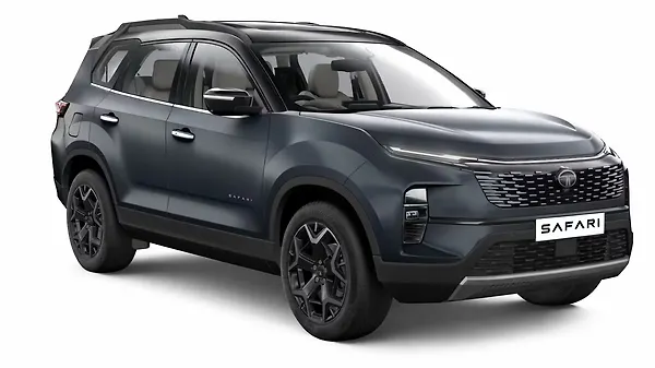 Pure Grey With Dual Tone