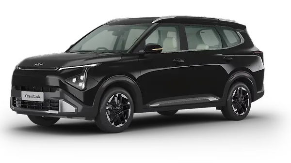 Aurora Black Pearl Aurora Black Pearl