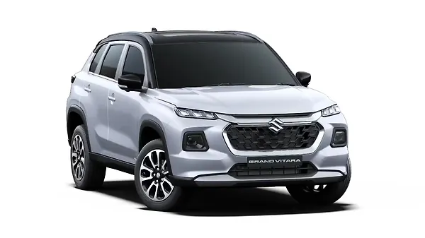 Arctic White + Black