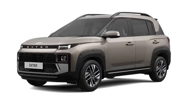 गोल्डन ब्रॉन्ज़