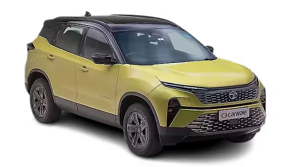 Sunlit Yellow With Dual Tone