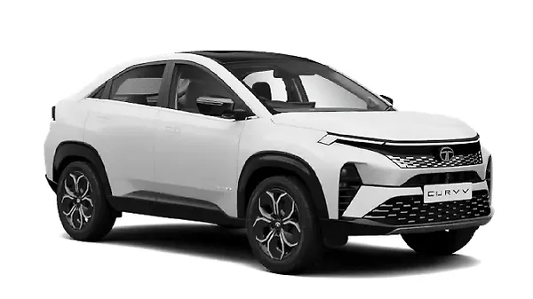 Pristine White With Black Roof