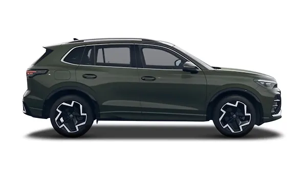 Cipressino Green Metallic