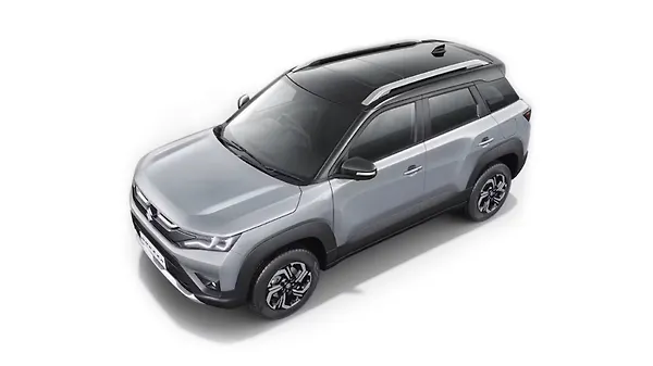 Splendid Silver with Bluish Black Roof