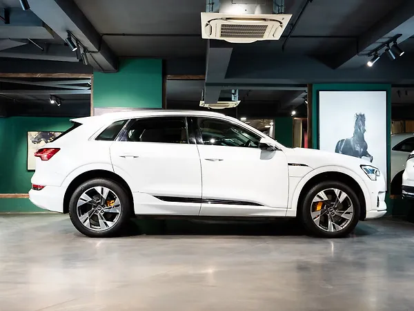 Audi e-tron 55 [2021-2024] - Photo 7