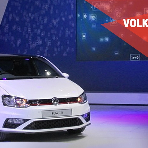 Polo volk 2024