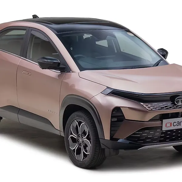 Should i buy a petrol or diesel car in 2019