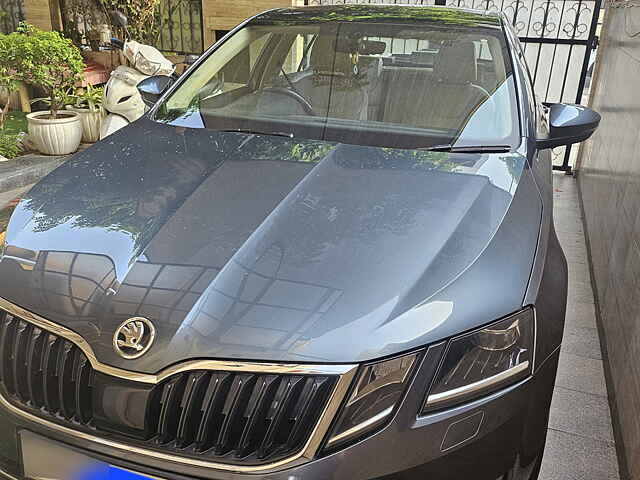 Second Hand Skoda Octavia [2017-2021] 1.8 TSI L&K in Gurgaon