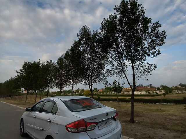 Second Hand Maruti Suzuki Ciaz [2017-2018] Alpha 1.3 Hybrid in Panipat