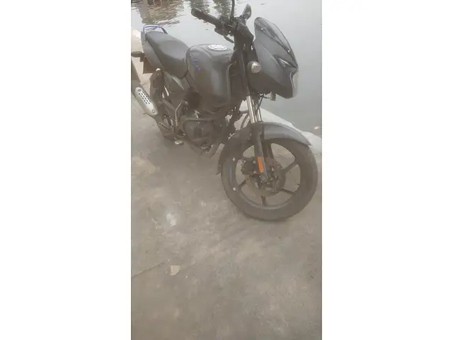 pulsar 125 second hand price