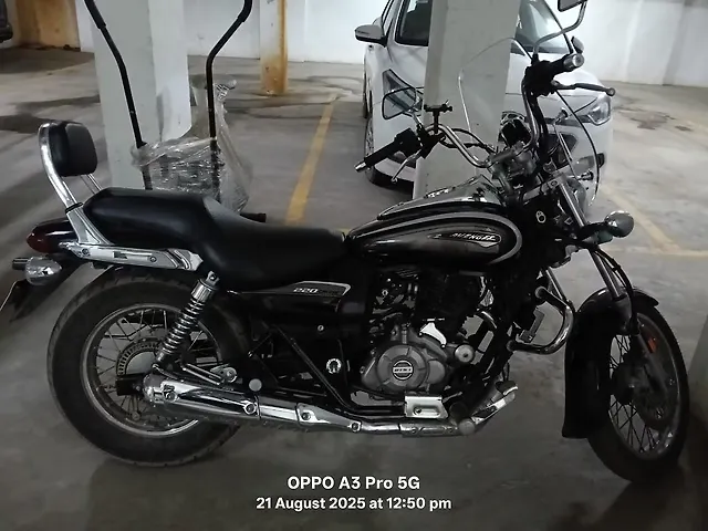 Used 2024 Bajaj Avenger Cruise 220 ABS BS IV for sale in