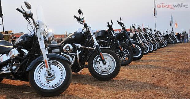 Hog harley on sale davidson india