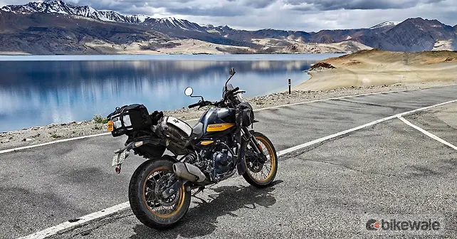 Viaterra LFA XC Rackless Saddlebags Review