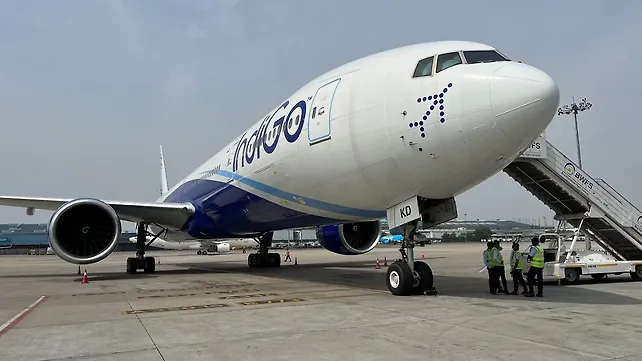Indigo Indigo
