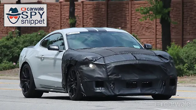 2019 Ford Mustang Gt500 Spotted Testing Carwale 2019 Ford Mustang Gt500 Spotted Testing