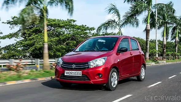 Maruti Suzuki Winter camp starts from 7 December Maruti Suzuki Winter camp starts from 7 December