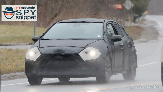 2020 Toyota Corolla spotted testing