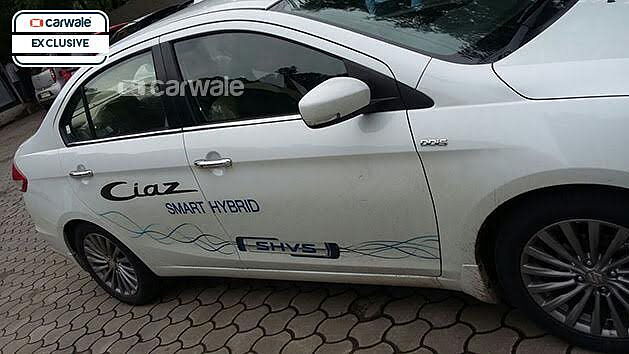 Maruti Suzuki Ciaz hybrid spied again