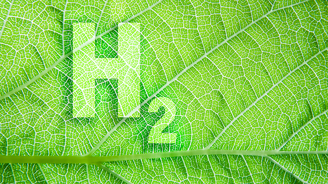 Green hydrogen