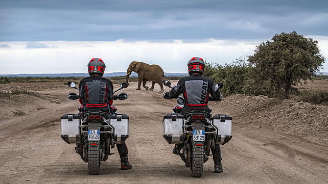 Ducati Multistrada V4 Rear View