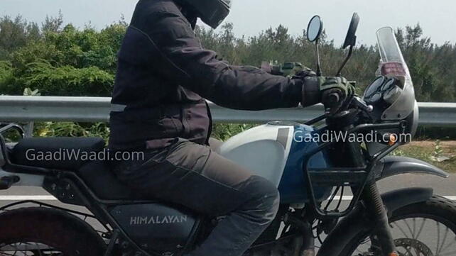 Royal Enfield Himalayan action