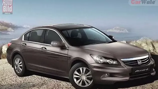 Index Ragdollelior Fr