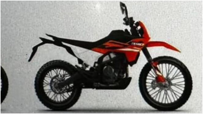 390 Enduro R Model Image